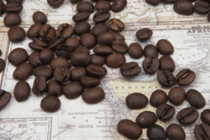 Bean, seed or fruit? What is coffee anyway?